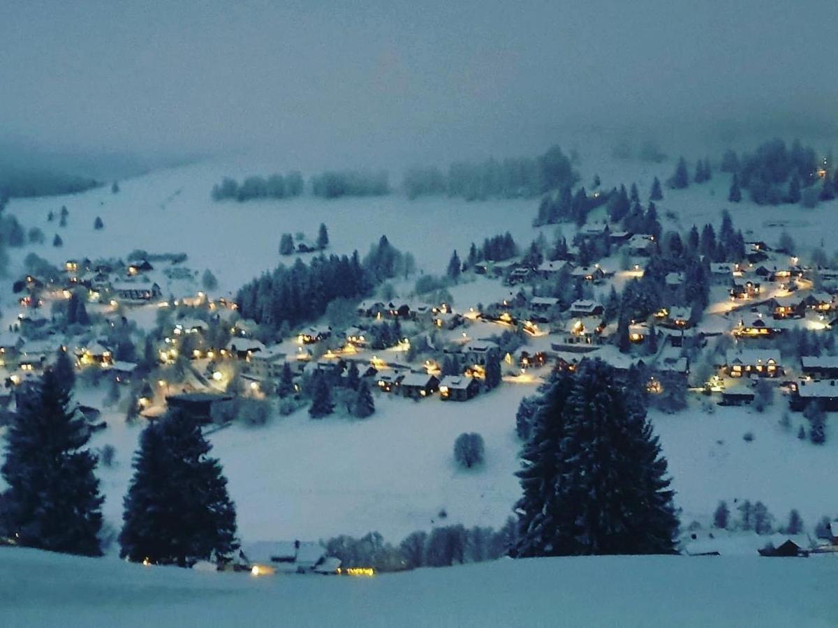 Haus Am Sonnenberg,Todtnauberg, Ferienwohnung 002, Direkt Am Skilift-Skipiste, Naehe Feldberg Zewnętrze zdjęcie