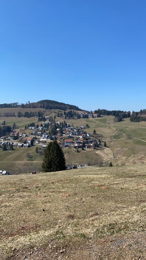 Haus Am Sonnenberg,Todtnauberg, Ferienwohnung 002, Direkt Am Skilift-Skipiste, Naehe Feldberg Zewnętrze zdjęcie
