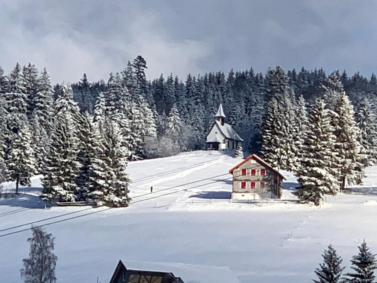Haus Am Sonnenberg,Todtnauberg, Ferienwohnung 002, Direkt Am Skilift-Skipiste, Naehe Feldberg Zewnętrze zdjęcie