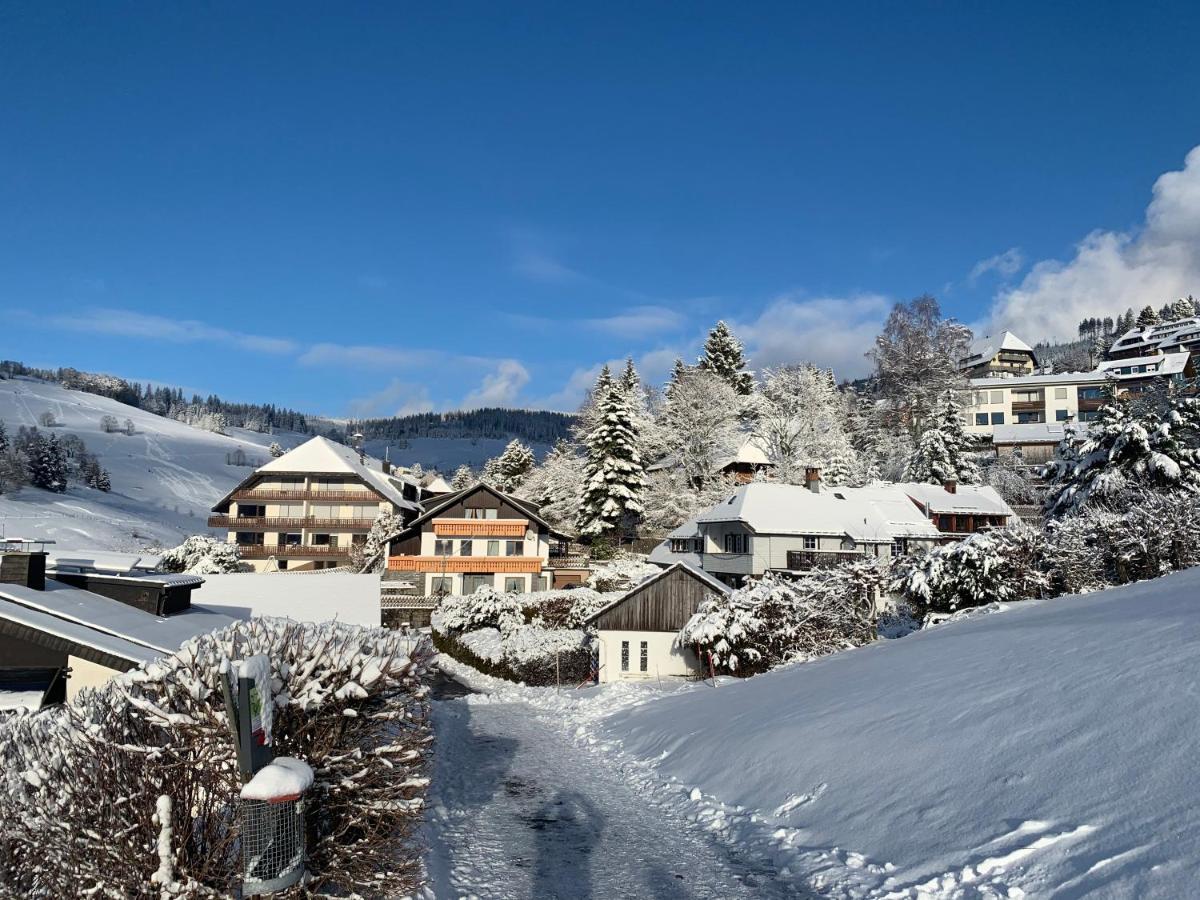 Haus Am Sonnenberg,Todtnauberg, Ferienwohnung 002, Direkt Am Skilift-Skipiste, Naehe Feldberg Zewnętrze zdjęcie